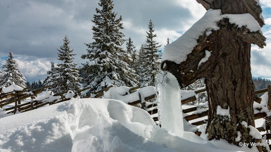 Schneeschuhwandern Im Schnee auf die Packeralpe - Touren-Impression #2.18 | © Community