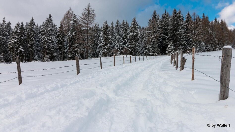 Schneeschuhwandern Im Schnee auf die Packeralpe - Touren-Impression #2.19 | © Community