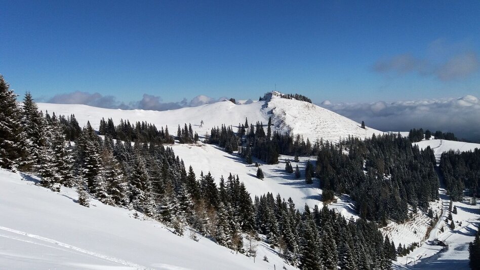 Snowshoe Walking Über die Gmoa-Alm - Touren-Impression #2.2 | © Region Graz