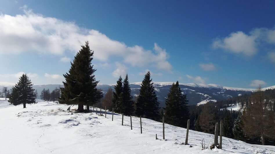 Snowshoe Walking Über die Gmoa-Alm - Touren-Impression #2.4 | © Region Graz