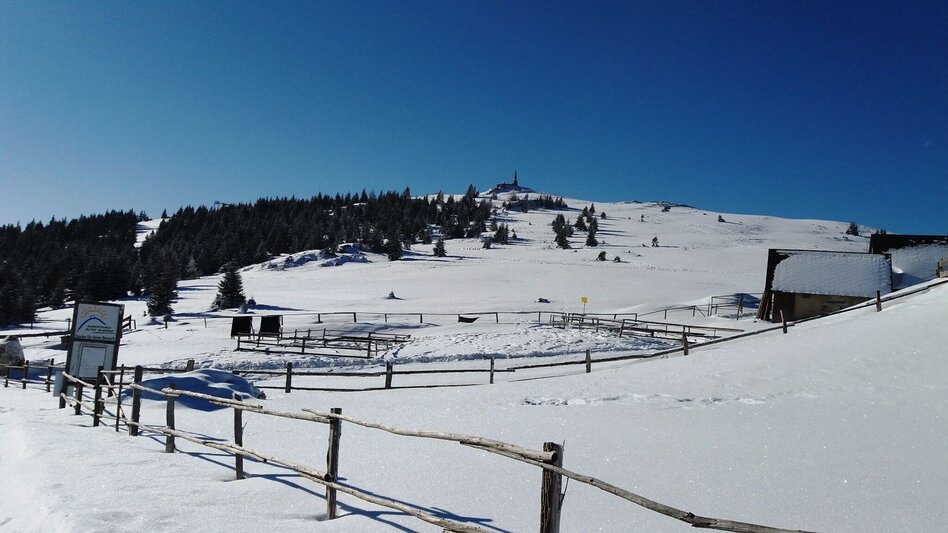 Snowshoe Walking Über die Gmoa-Alm - Touren-Impression #2.5 | © Region Graz