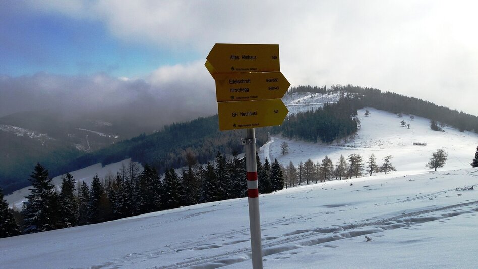 Snowshoe Walking Über die Gmoa-Alm - Touren-Impression #2.8 | © Region Graz