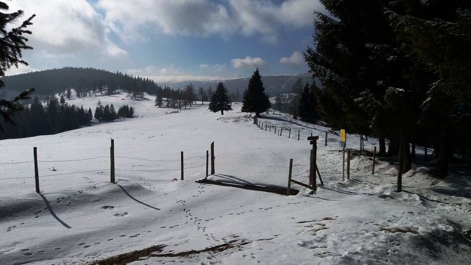 Snowshoe Walking Über die Gmoa-Alm - Touren-Impression #2.10 | © Region Graz