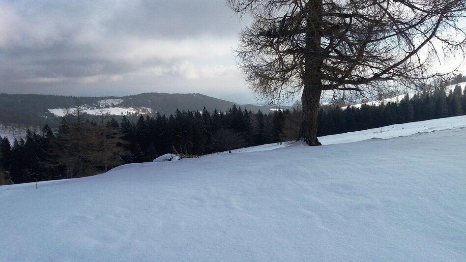 Snowshoe Walking Über die Gmoa-Alm - Touren-Impression #2.12 | © Region Graz