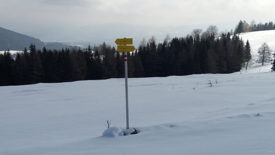 Snowshoe Walking Über die Gmoa-Alm - Touren-Impression #2.13 | © Region Graz