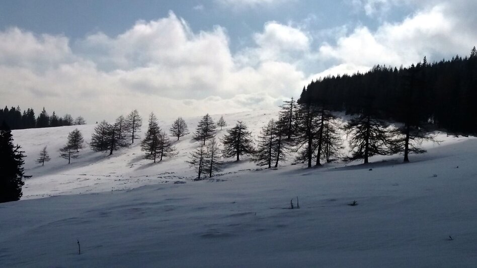 Snowshoe Walking Über die Gmoa-Alm - Touren-Impression #2.14 | © Region Graz