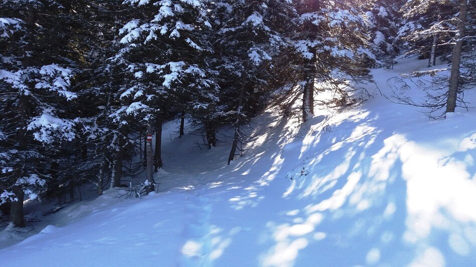 Snowshoe Walking Über die Gmoa-Alm - Touren-Impression #2.18 | © Region Graz