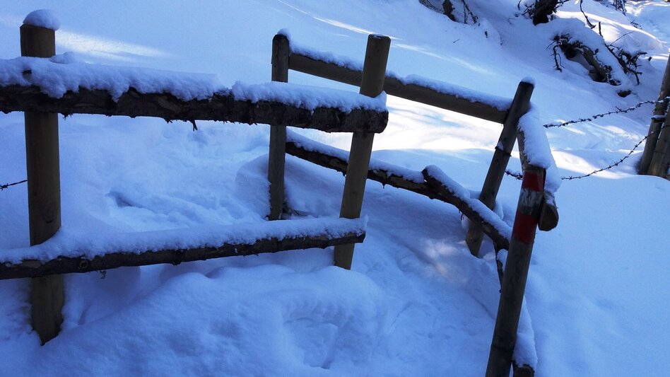 Snowshoe Walking Über die Gmoa-Alm - Touren-Impression #2.19 | © Region Graz