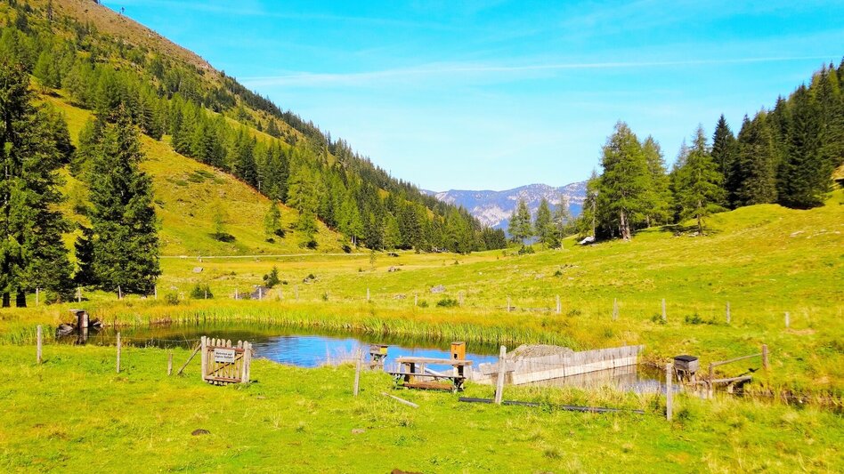 Hiking Route Gumpental - Moaralmsee - Touren-Impression #2.2 | © Unbekannt