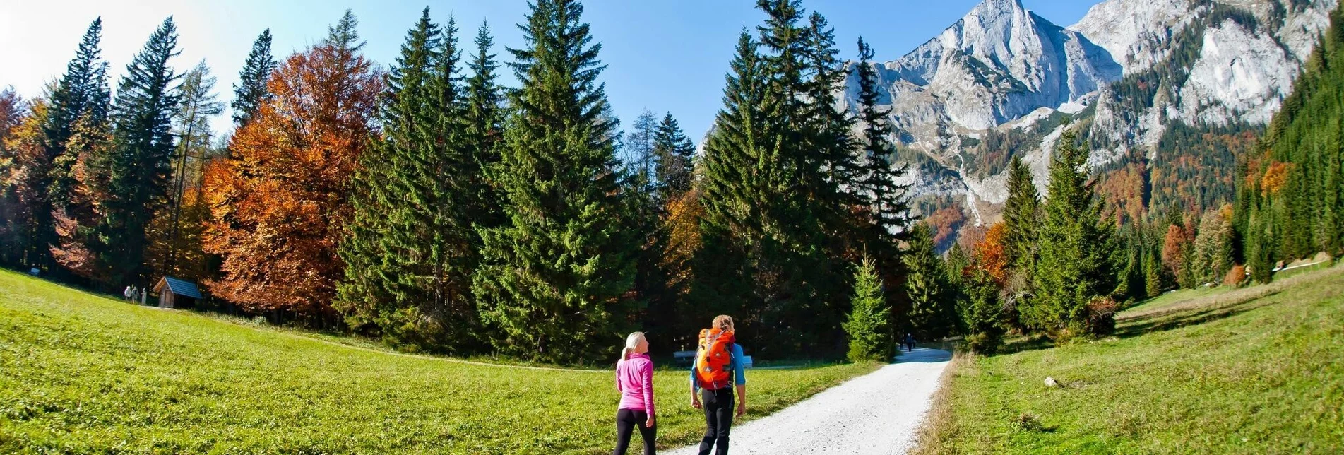 Hiking route Vom Bodenbauer zum Sackwiesensee - Touren-Impression #1 | © Steiermark Tourismus