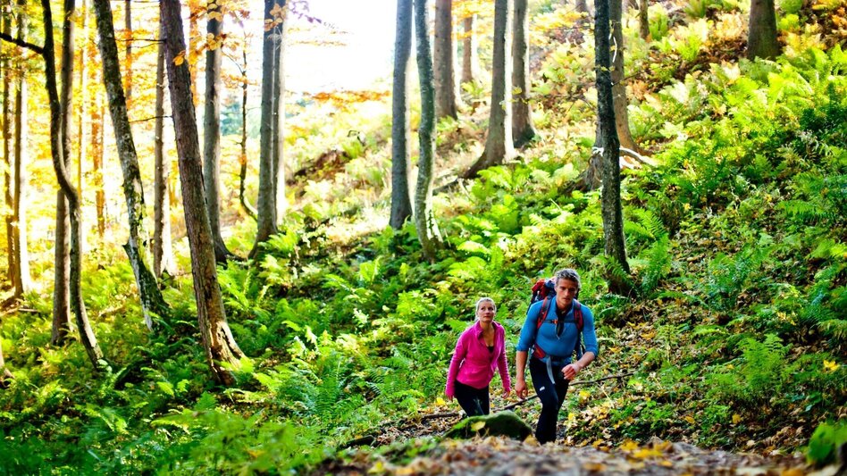 Wanderung Vom Bodenbauer zum Sackwiesensee - Touren-Impression #2.2 | © Steiermark Tourismus