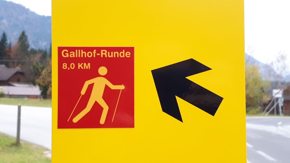 Nordic Walking "Bad Aussee - Grundlsee - Gallhof - Hintenkogl - St. Leonhard" - Touren-Impression #2.4 | © Ausseerland