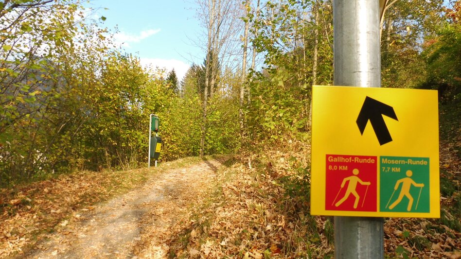 Nordic Walking "Bad Aussee - Grundlsee - Gallhof - Hintenkogl - St. Leonhard" - Touren-Impression #2.6 | © Ausseerland