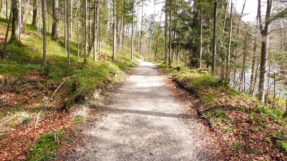 Nordic Walking "Bad Aussee - Grundlsee - Gallhof - Hintenkogl - St. Leonhard" - Touren-Impression #2.9 | © Ausseerland