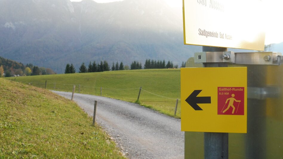 Nordic Walking "Bad Aussee - Grundlsee - Gallhof - Hintenkogl - St. Leonhard" - Touren-Impression #2.10 | © Ausseerland