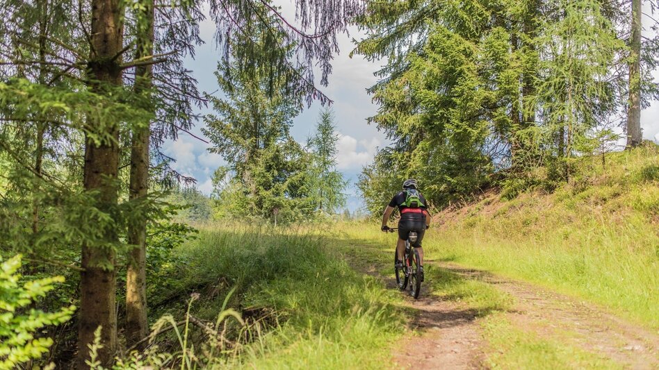Mountainbike Tour 67a - MTB -Roatmoaralm - Touren-Impression #2.1 | © Erlebnisregion Murtal
