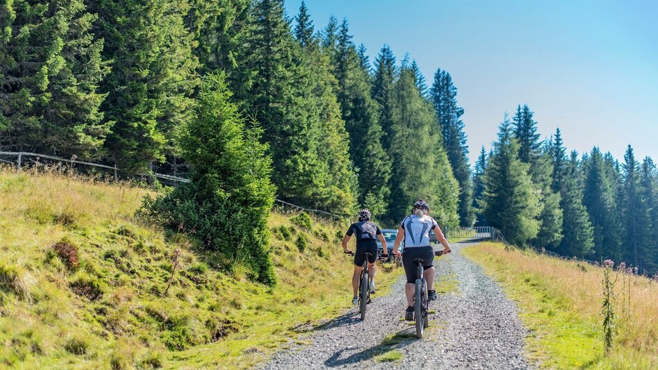 Mountainbike MTB - Tour 67d - Steinplan von Gobernitz - Touren-Impression #2.3 | © Erlebnisregion Murtal