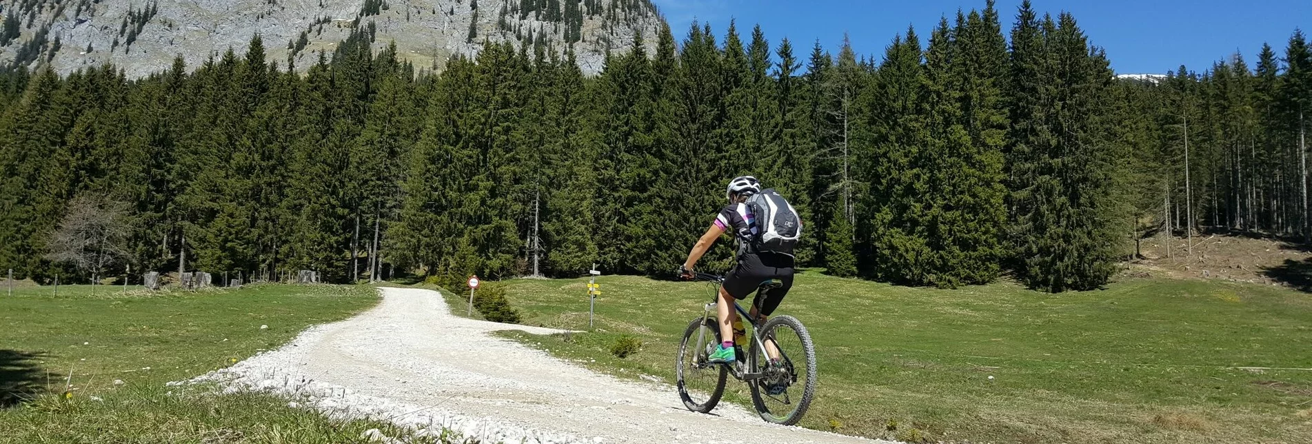 Mountainbike Schönmoos Runde - Sperre aufgrund einer Großhangbewegung - Touren-Impression #1 | © Erlebnisregion Schladming-Dachstein