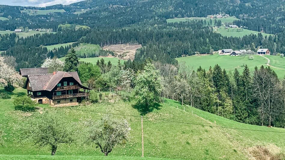 Hiking Route Koralpe Trail - Touren-Impression #2.1 | © Südsteiermark