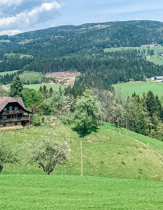 Buchenberg | Bernhard Prangl | © Südsteiermark