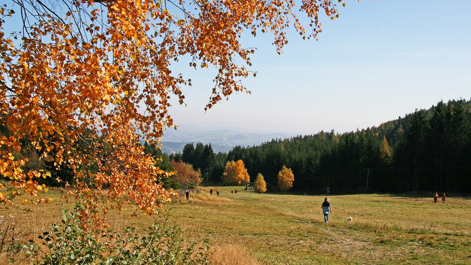 Long-Distance Hiking Trail Alpannonia – Long-Distance hiking trail: Fischbach -  Köszeg, Fischbach - Touren-Impression #2.8 | © Oststeiermark Tourismus