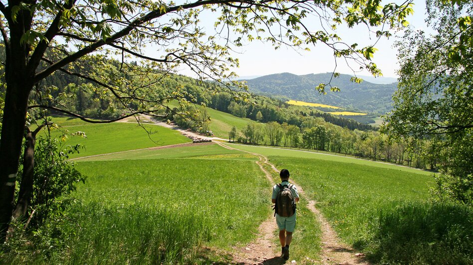Long-Distance Hiking Trail Alpannonia – Long-Distance hiking trail: Fischbach -  Köszeg, Fischbach - Touren-Impression #2.9 | © Oststeiermark Tourismus