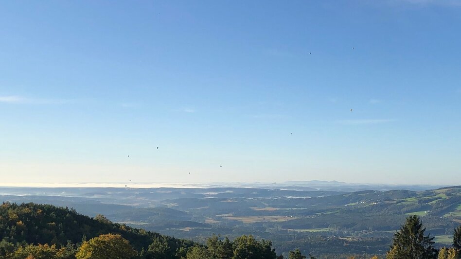 Wanderung Wanderung auf den Masenberg, RETTER Pöllauberg - Touren-Impression #2.6 | © Oststeiermark Tourismus