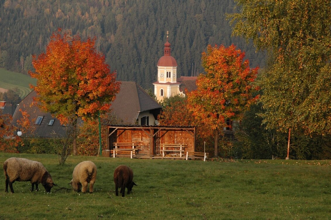 Wanderung Schoberkogelweg, Birkfeld - Touren-Impression #1 | © Oststeiermark Tourismus