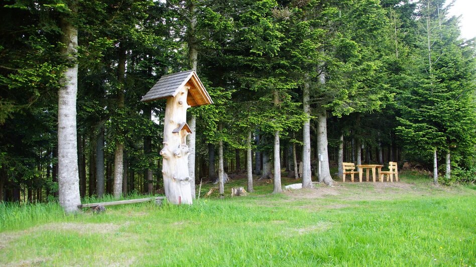 Wanderung Schoberkogelweg, Birkfeld - Touren-Impression #2.4 | © Oststeiermark Tourismus