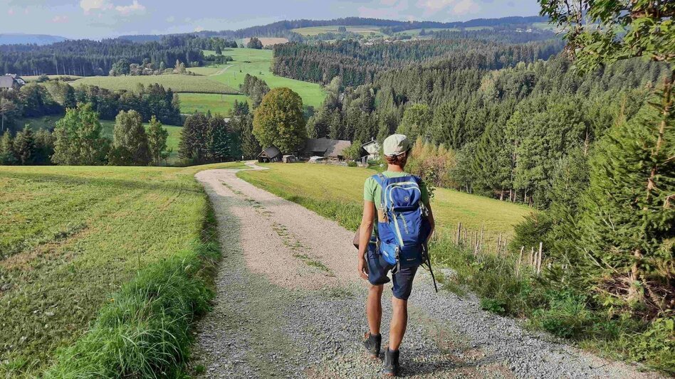 Wanderung Schoberkogelweg, Birkfeld - Touren-Impression #2.5 | © Oststeiermark Tourismus