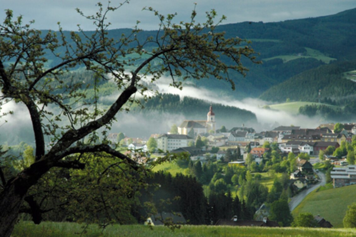 Wanderung Schoberkogelweg, Birkfeld - Touren-Impression #1 | © Oststeiermark Tourismus