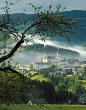 Blick über Birkfeld_Birkfeld_Oststeiermark | Edl-Event GmbH | © Oststeiermark Tourismus
