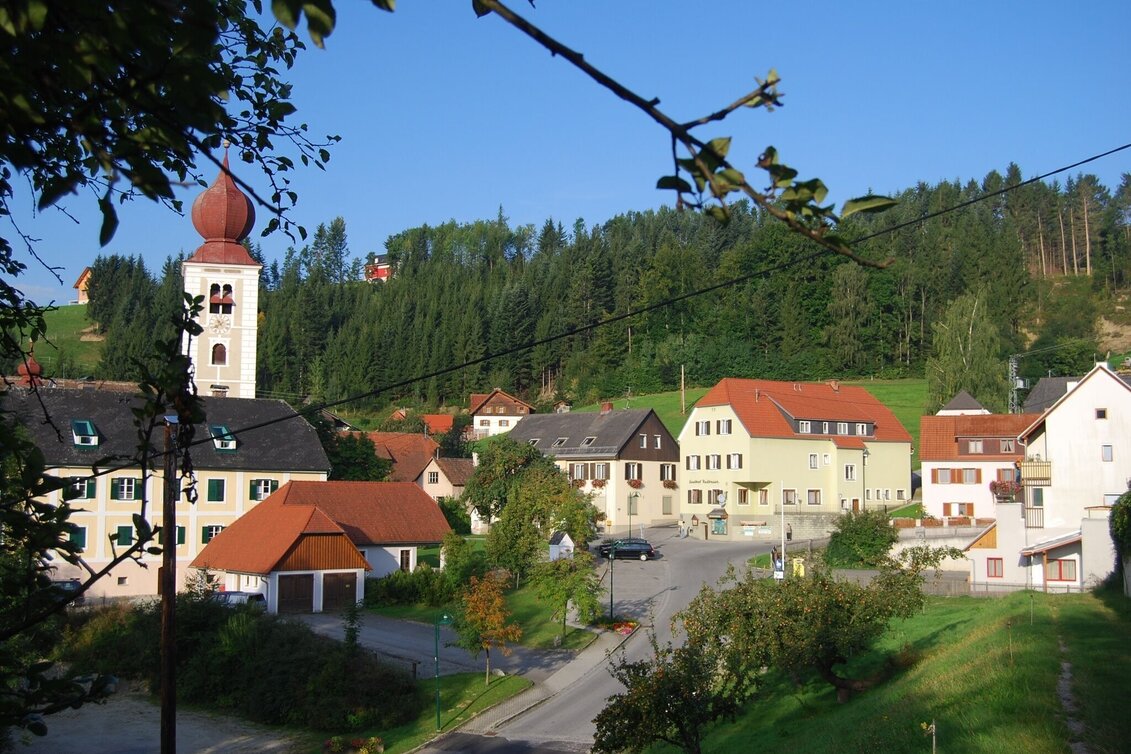 Themen- und Lehrpfad Waldlehrpfad, Koglhof - Touren-Impression #1 | © Oststeiermark Tourismus
