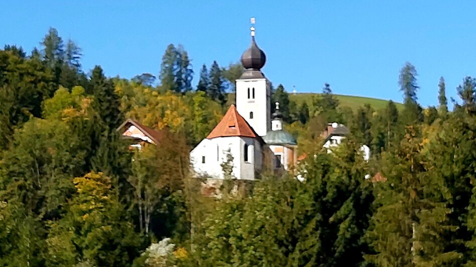 Themen- und Lehrpfad Waldlehrpfad, Koglhof - Touren-Impression #2.4 | © Oststeiermark Tourismus