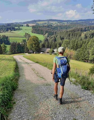 On the Birkfeld circular hiking trail_Birkfeld_Eastern Styria | WEGES | © Oststeiermark Tourismus