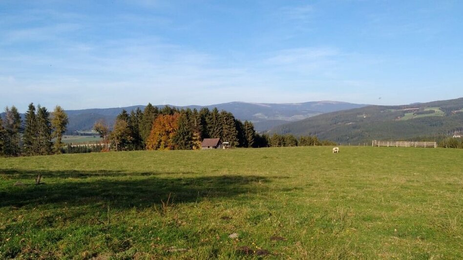 Wanderung Rundweg - Lafnitzegg Nr. 2, Wenigzell - Touren-Impression #2.2 | © Gemeinde Wenigzell