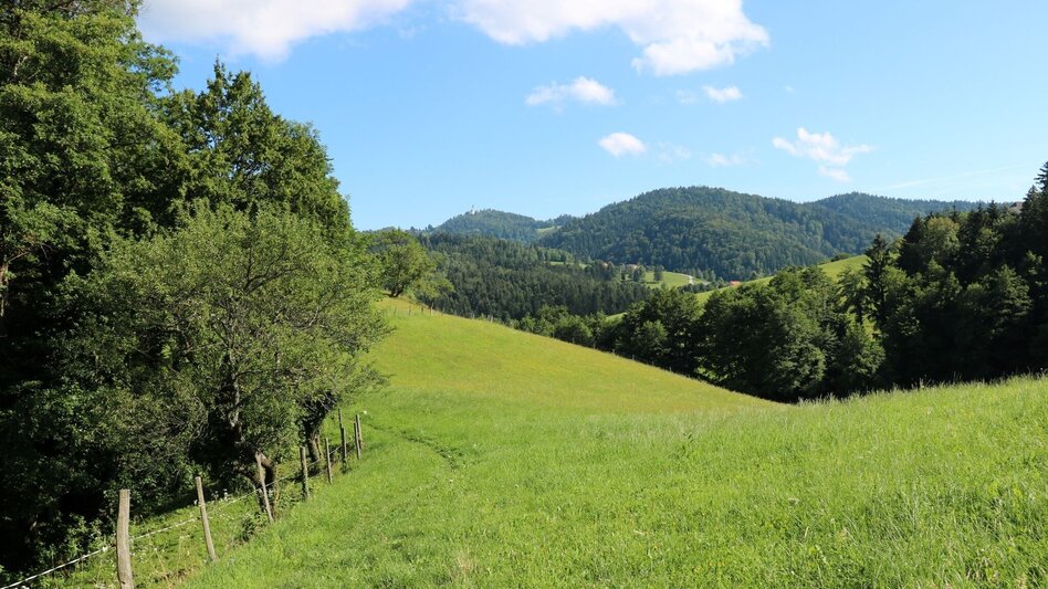 Hiking Route Path of Ancient Herbs on Remschnigg - Touren-Impression #2.1 | © TV Südsteiermark