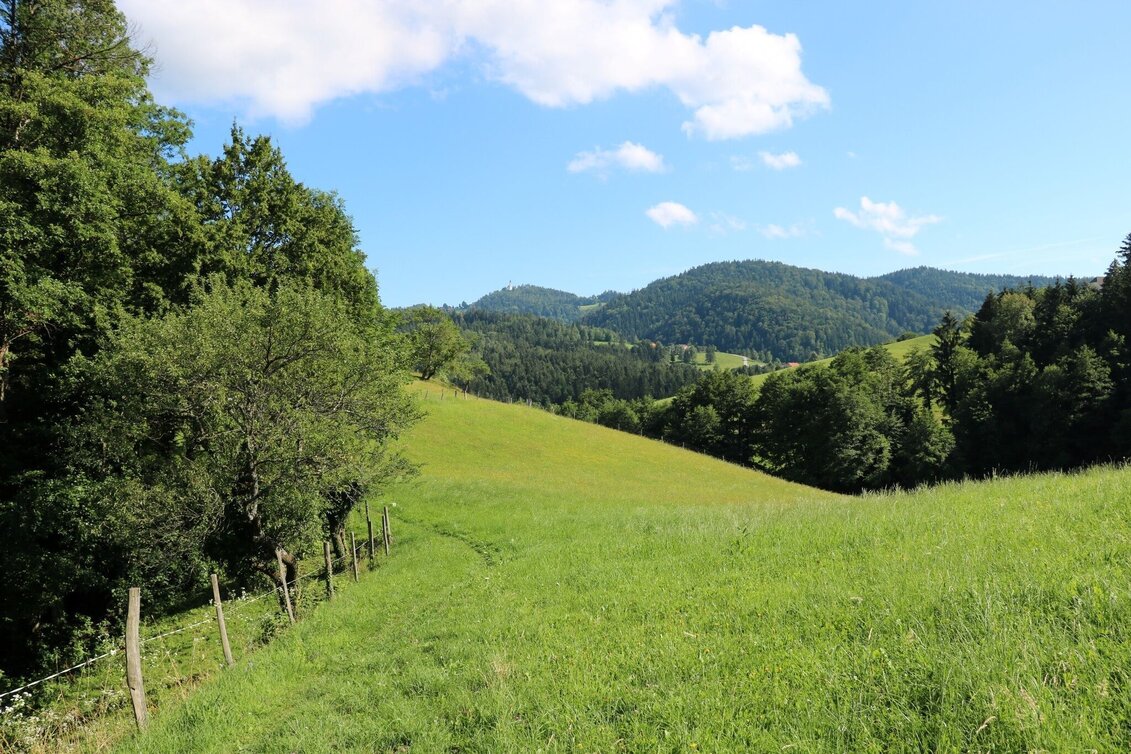 Hiking Route Path of Ancient Herbs on Remschnigg - Touren-Impression #1 | © TV Südsteiermark