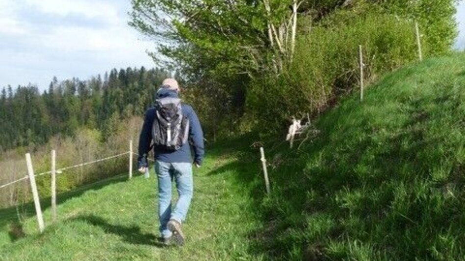 Hiking Route Path of Ancient Herbs on Remschnigg - Touren-Impression #2.2 | © Bettina Tertinjek