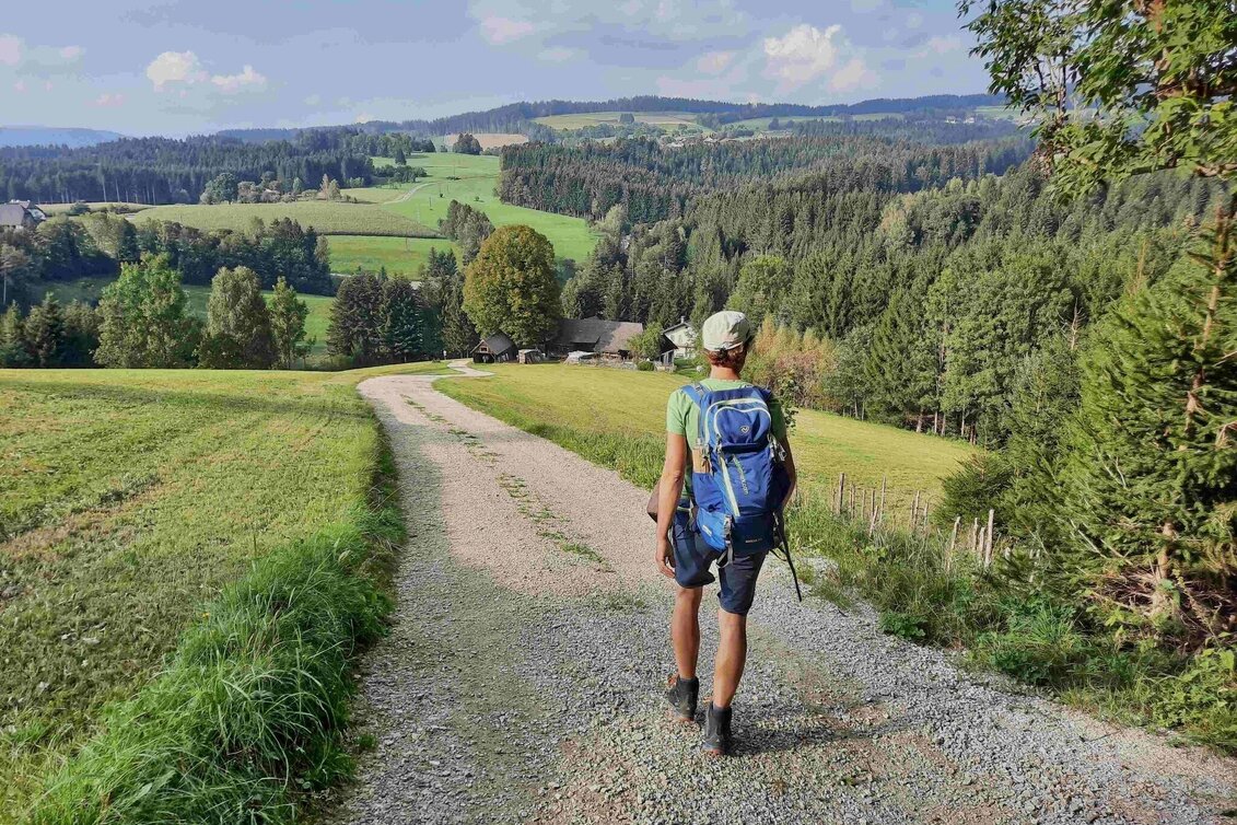 Wanderung Panoramaweg vom Gschaidsattel nach Rabendorf, Birkfeld - Touren-Impression #1 | © Oststeiermark Tourismus