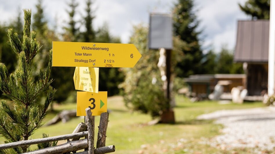 Hiking Route Skilift - Dead Man - No. 4, Wenigzell - Touren-Impression #2.4 | © TV Oststeiermark