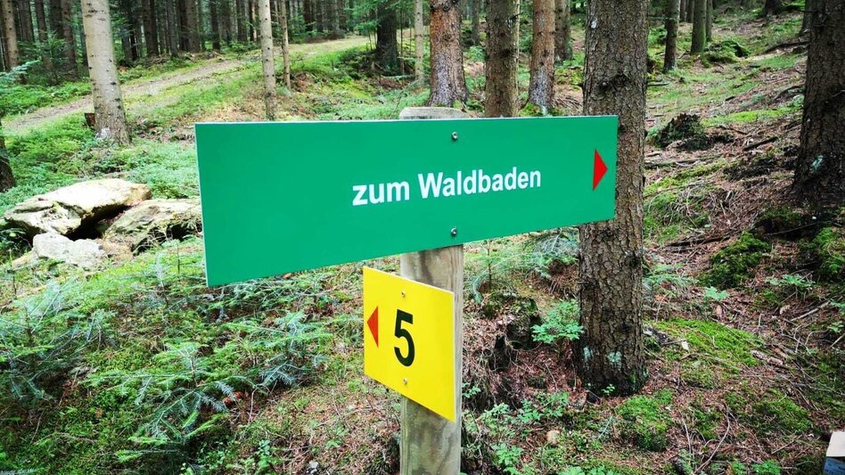 Hiking Route Wenigzell circular hike, No. 5, Wenigzell - Touren-Impression #2.1 | © Oststeiermark Tourismus