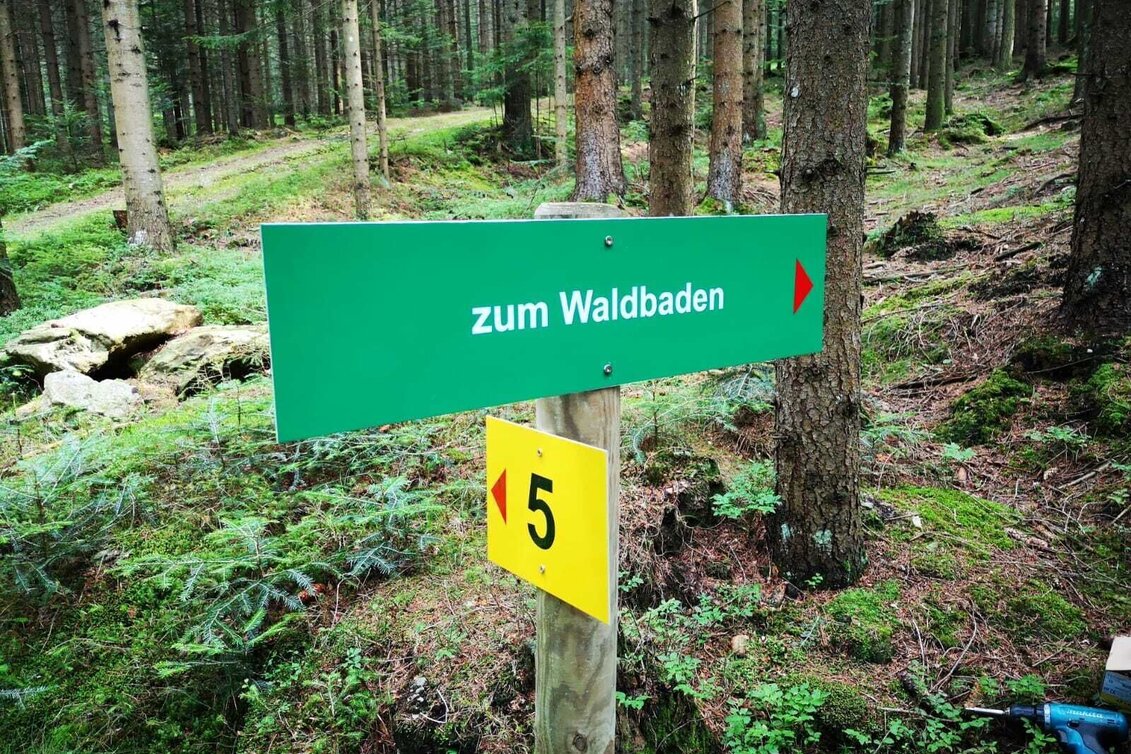 Hiking Route Wenigzell circular hike, No. 5, Wenigzell - Touren-Impression #1 | © Oststeiermark Tourismus
