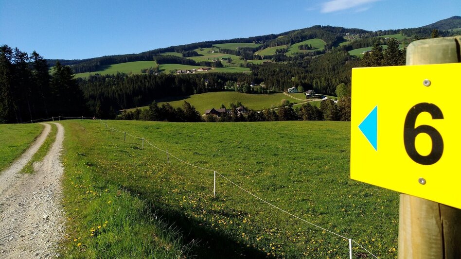 Hiking Route Circular hiking trail -  Kleinland No. 6, Wenigzell - Touren-Impression #2.7 | © Oststeiermark Tourismus
