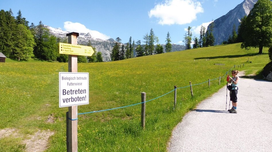 Trail Running Mountain tour on the Trisselwand - Touren-Impression #2.4 | © Ausseerland