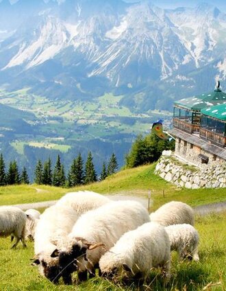 Bike & Hike Station Planai | Schladming Dachstein | © Schafalm