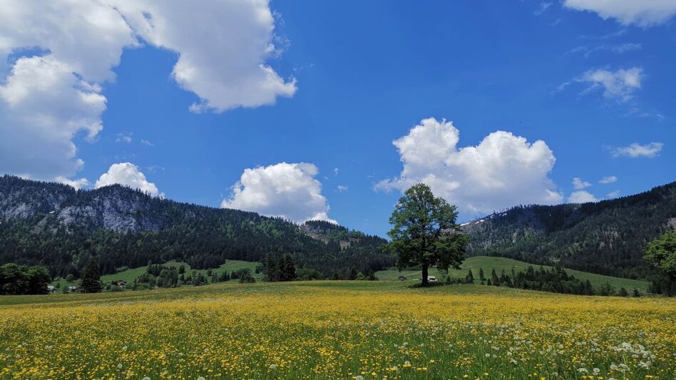 Wanderung Familienwanderung von Tauplitz in die Gnanitzalm - Touren-Impression #2.1 | © TVB Ausseerland-Salzkammergut_Theresa Schwaiger
