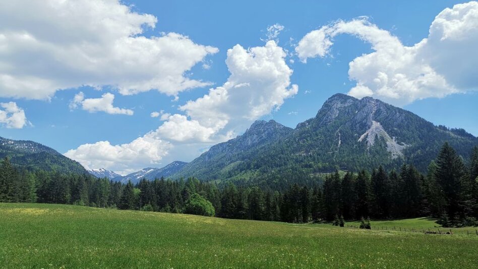 Wanderung Familienwanderung von Tauplitz in die Gnanitzalm - Touren-Impression #2.2 | © TVB Ausseerland-Salzkammergut_Theresa Schwaiger