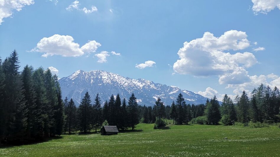 Wanderung Familienwanderung von Tauplitz in die Gnanitzalm - Touren-Impression #2.3 | © TVB Ausseerland-Salzkammergut_Theresa Schwaiger