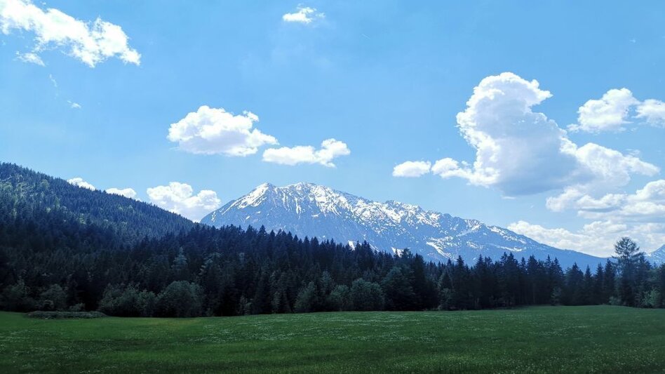 Wanderung Familienwanderung von Tauplitz in die Gnanitzalm - Touren-Impression #2.4 | © TVB Ausseerland-Salzkammergut_Theresa Schwaiger